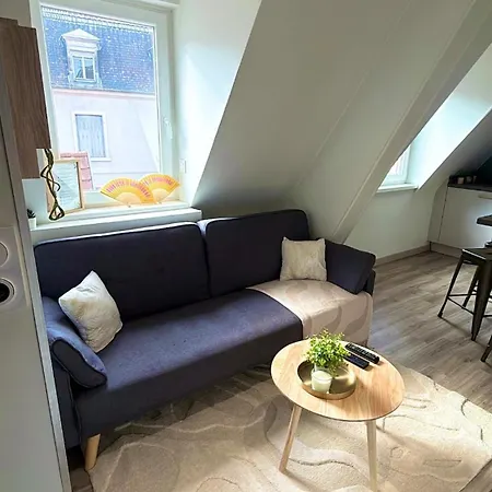 Le Cocon Des Cordiers Historic Center Apartamento Mulhouse
