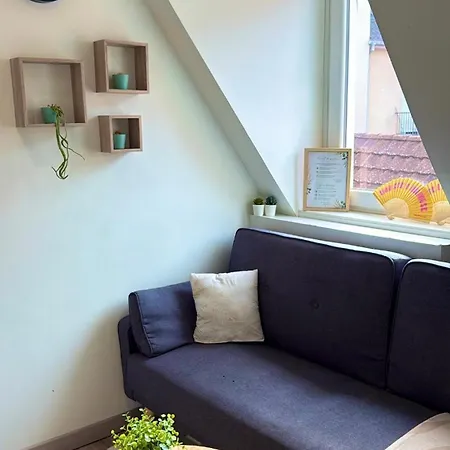 Apartamento Le Cocon Des Cordiers Historic Center