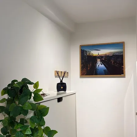 Le Cocon Des Cordiers Historic Center Apartamento Mulhouse