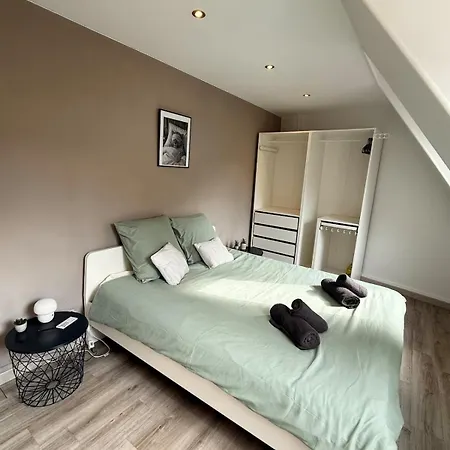 Apartamento Le Cocon Des Cordiers Historic Center Mulhouse